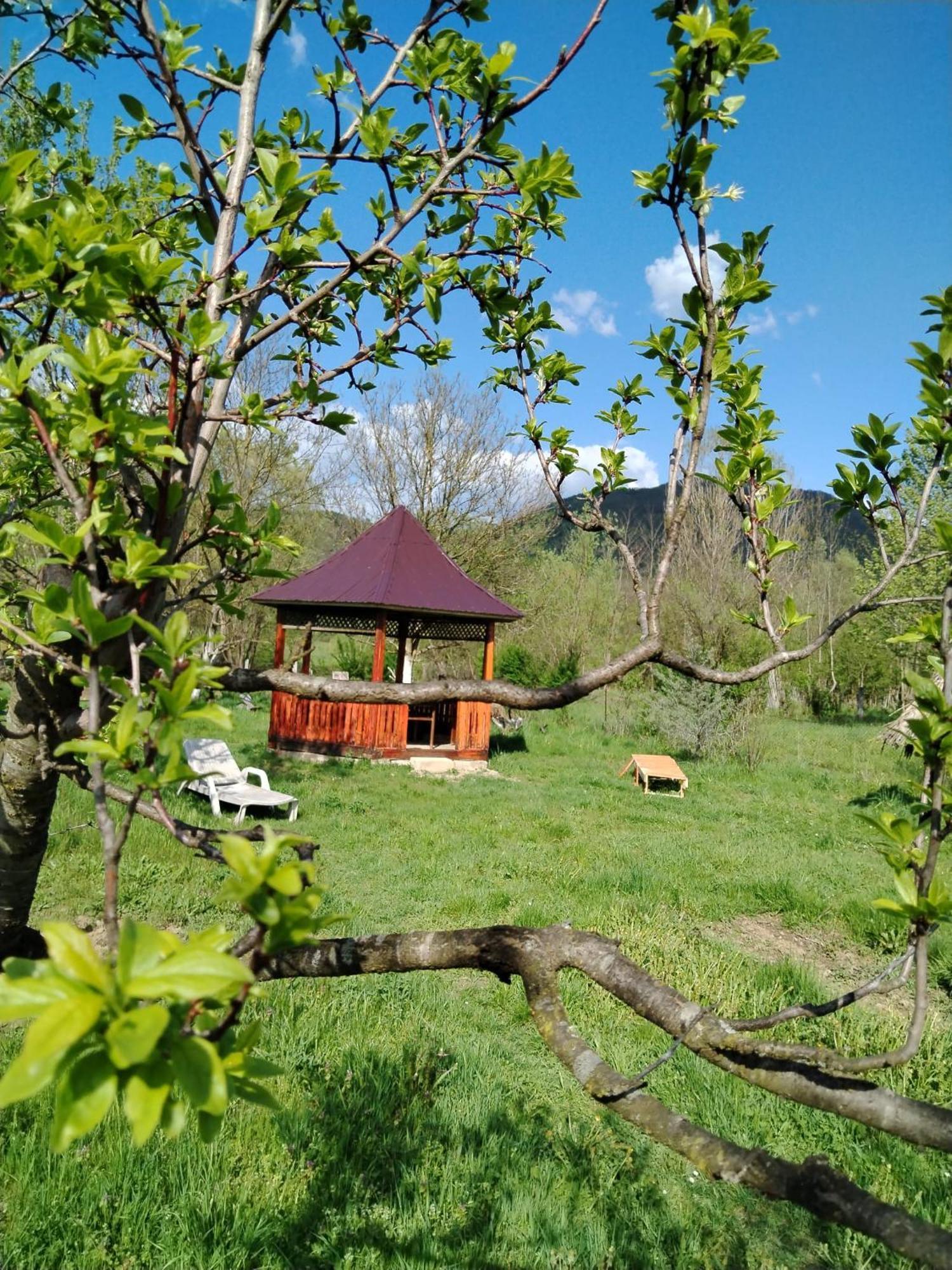 Pension Bud Váncsfalva Kültér fotó